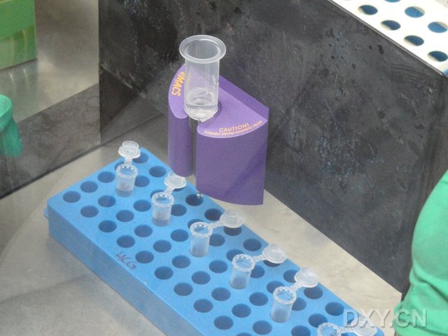 免疫磁珠细胞分选（特色）