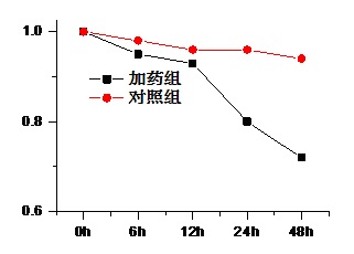 细胞活性和毒性测试